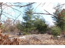 LOT18 Timber Trail, Spring Green, WI 53503