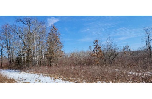 S Nelson Road, Brodhead, WI 53520