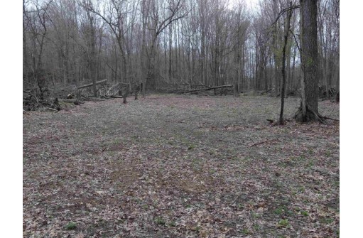 104.71 ACRES County Road Cm, Portage, WI 53901