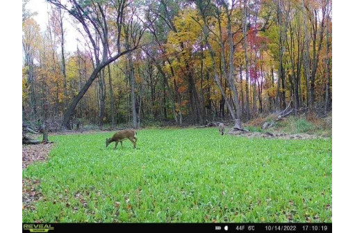 104.71 ACRES County Road Cm, Portage, WI 53901