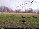 104.71 ACRES County Road Cm, Portage, WI 53901