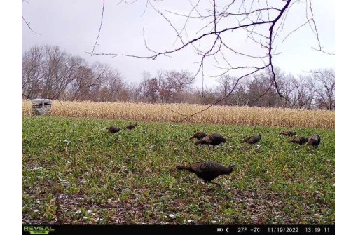 104.71 ACRES County Road Cm, Portage, WI 53901