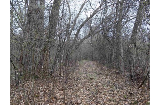 104.71 ACRES County Road Cm, Portage, WI 53901