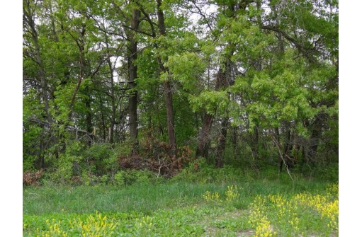 104.71 ACRES County Road Cm, Portage, WI 53901