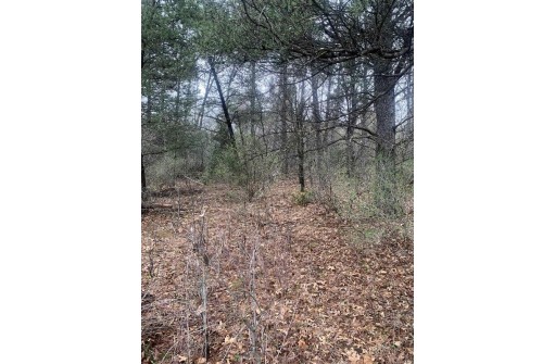 2.5 AC 8th Avenue, Wisconsin Dells, WI 53965