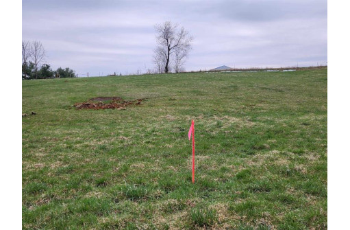 LOT 1 Walnut Dell Rd, Platteville, WI 53818