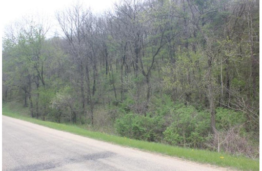 0 Platte/Quarry Rd, Platteville, WI 53818