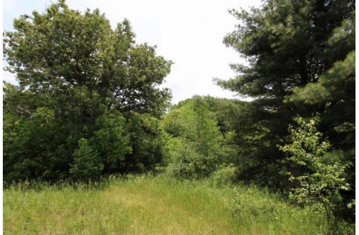 5.7 AC W 3rd Avenue, Oxford, WI 53952