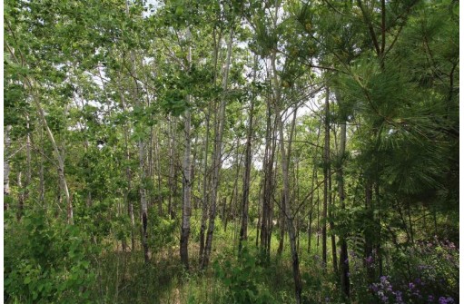 5.7 AC W 3rd Avenue, Oxford, WI 53952