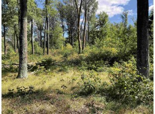 LOT 67 10th Street Necedah, WI 54646