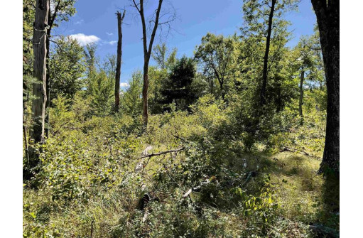 LOT 67 10th Street, Necedah, WI 54646