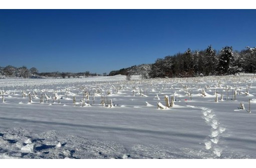 5.83 AC Elgin Avenue, Tomah, WI 54660