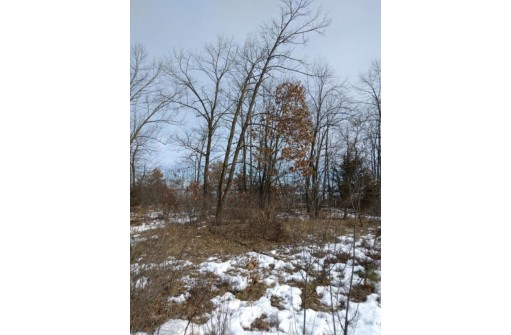 W3270 Grand View Trail, Nekoosa, WI 54457