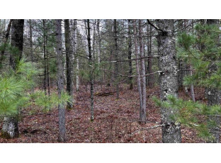 LOT 49 Menominee Shores Drive Wausaukee, WI 54177