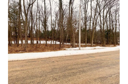 LOT 112 Michigan Avenue, Wisconsin Dells, WI 53965