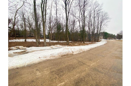 LOT 112 Michigan Avenue, Wisconsin Dells, WI 53965