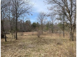 L35 Halls Point Road Necedah, WI 54646