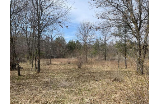 L35 Halls Point Road, Necedah, WI 54646