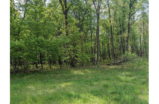 40AC County Road E, Westfield, WI 53964