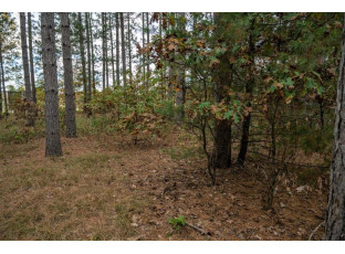 LOT 184 32nd Street New Lisbon, WI 53950