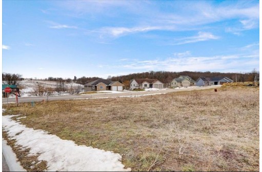 LOT 63 Diamond Oaks Drive, Dodgeville, WI 53533