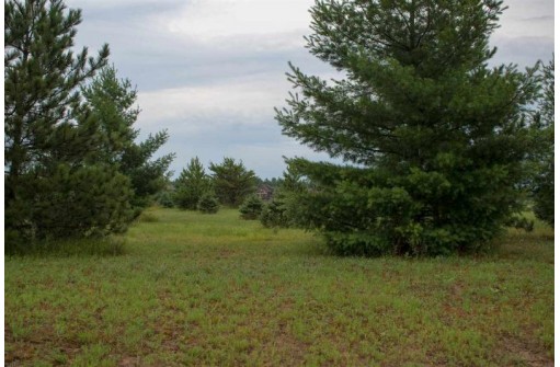 LOT 63 Rising Sun Court, New Lisbon, WI 53950