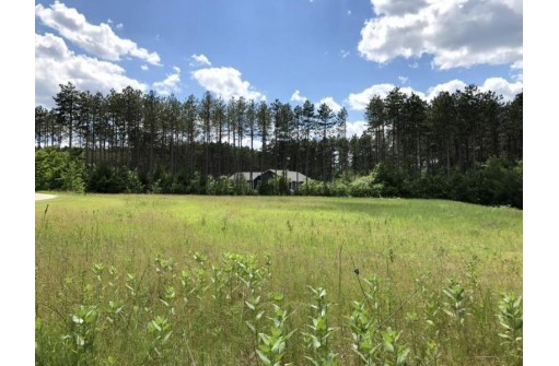 LOT 38 Red Pine Road, Baraboo, WI 53913