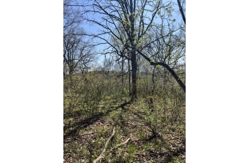 5.49 ACRES County Road Ii, Highland, WI 53543