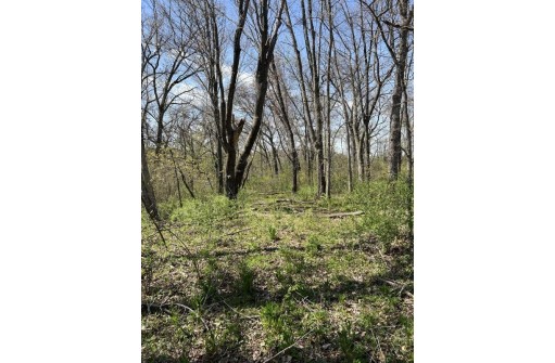 5.49 ACRES County Road Ii, Highland, WI 53543