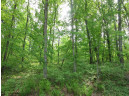 LOT 1 Fish Court, Oxford, WI 53952