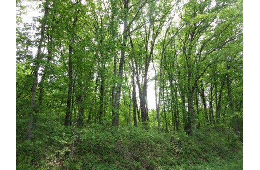 LOT 1 Fish Court, Oxford, WI 53952