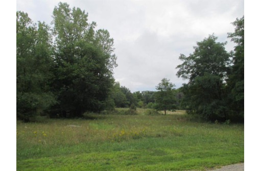 LOT 5 Brooke Circle, Montello, WI 53949