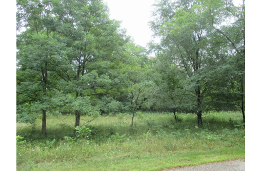 LOT 5 Brooke Circle, Montello, WI 53949