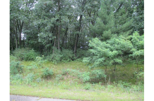 LOT 5 Brooke Circle, Montello, WI 53949