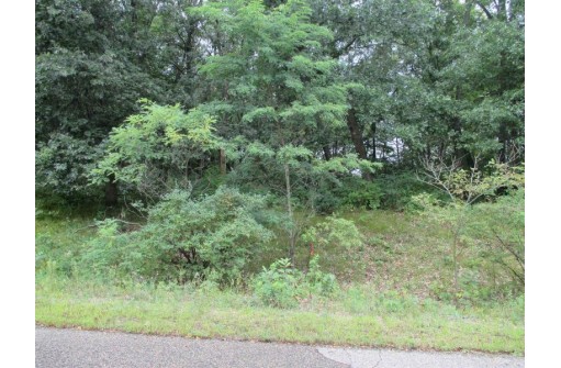 LOT 5 Brooke Circle, Montello, WI 53949