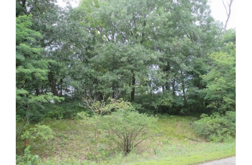 LOT 5 Brooke Circle, Montello, WI 53949