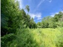 39 ACRES Ceylon Road, New Lisbon, WI 53950