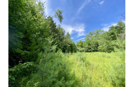 39 ACRES Ceylon Road, New Lisbon, WI 53950