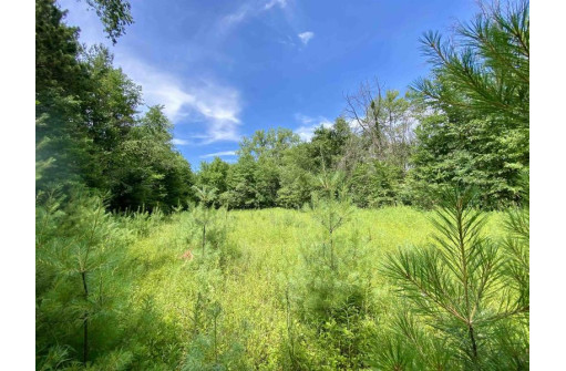 39 ACRES Ceylon Road, New Lisbon, WI 53950