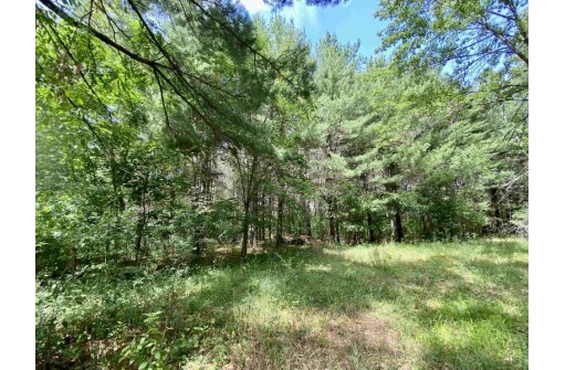 39 ACRES Ceylon Road, New Lisbon, WI 53950