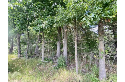 39 ACRES Ceylon Road, New Lisbon, WI 53950