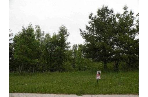 363 Drumlin Loop, Ripon, WI 54971