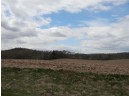 LOT 5 Spring Brook, Tomah, WI 54660