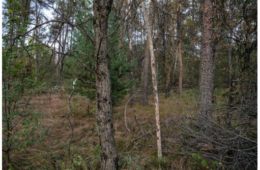 LOT 126 Beach Drive, New Lisbon, WI 53950