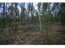 LOT 126 Beach Drive, New Lisbon, WI 53950