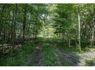 9.18 ACRES County Road A New Lisbon, WI 53950