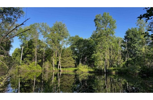 5.09 AC Meadowood Shores Drive, Neshkoro, WI 54960