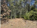 LOT 20 Fern Lane, Oxford, WI 53952