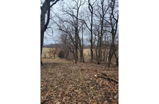 LOT 3 Tower Line Road, Marshall, WI 53559