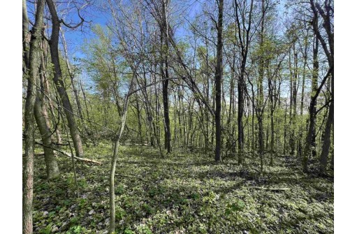 4.5 ACRES American Heritage Road, De Soto, WI 54624